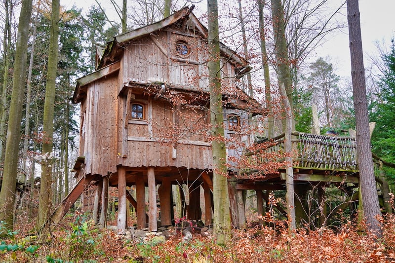 Treetop Pod